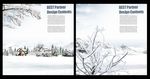 冬季雪景