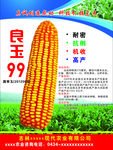 良玉99