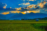粟家村