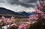 西藏林芝