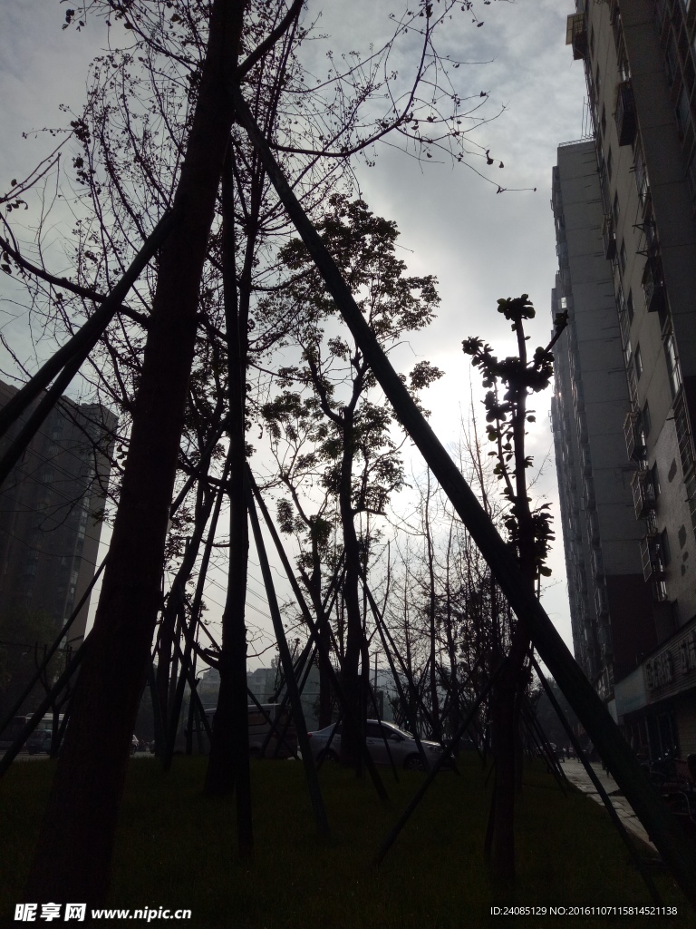 冬日微光暖阳