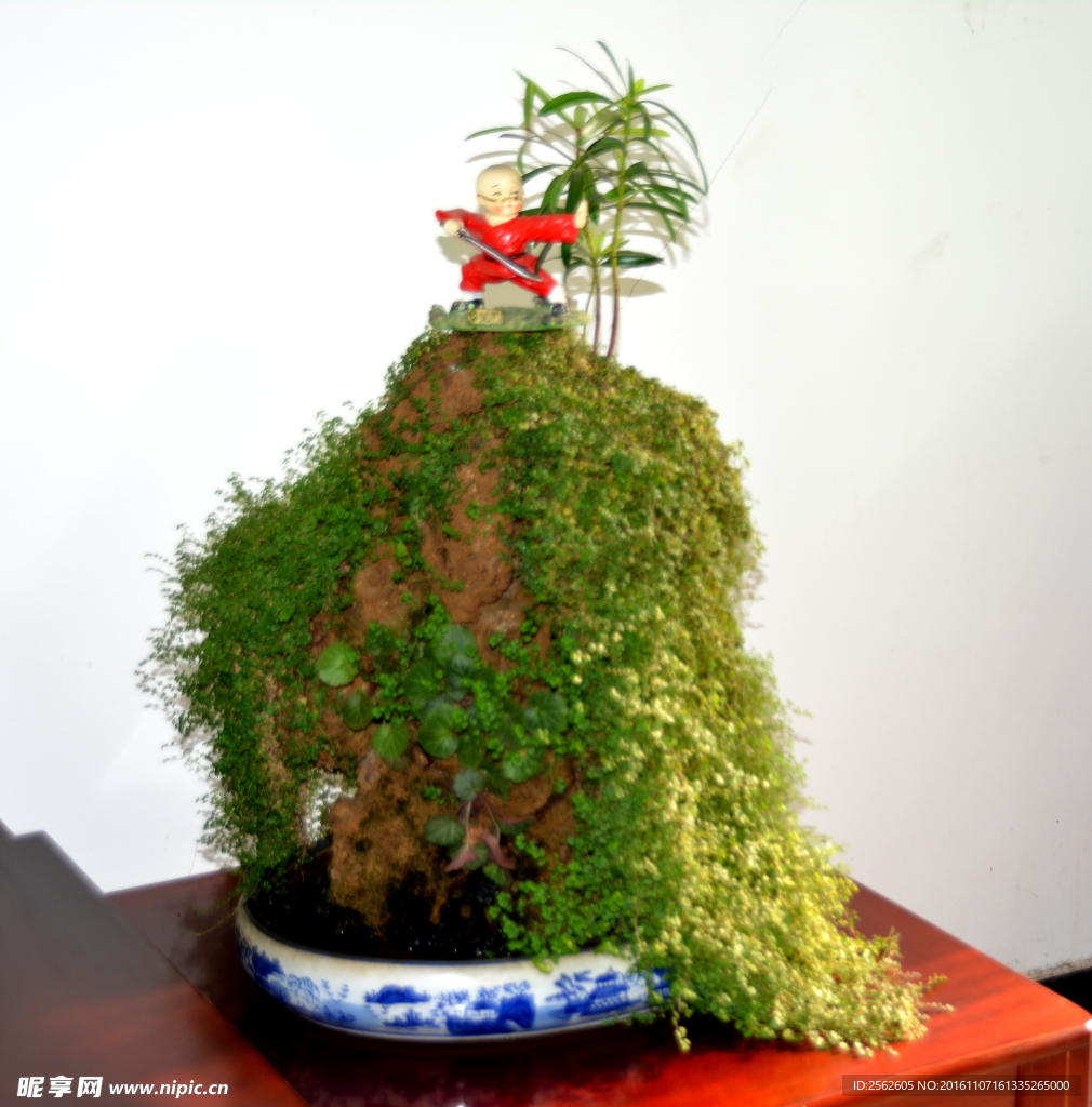 吸水石