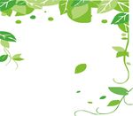 硅藻泥花纹 绿叶