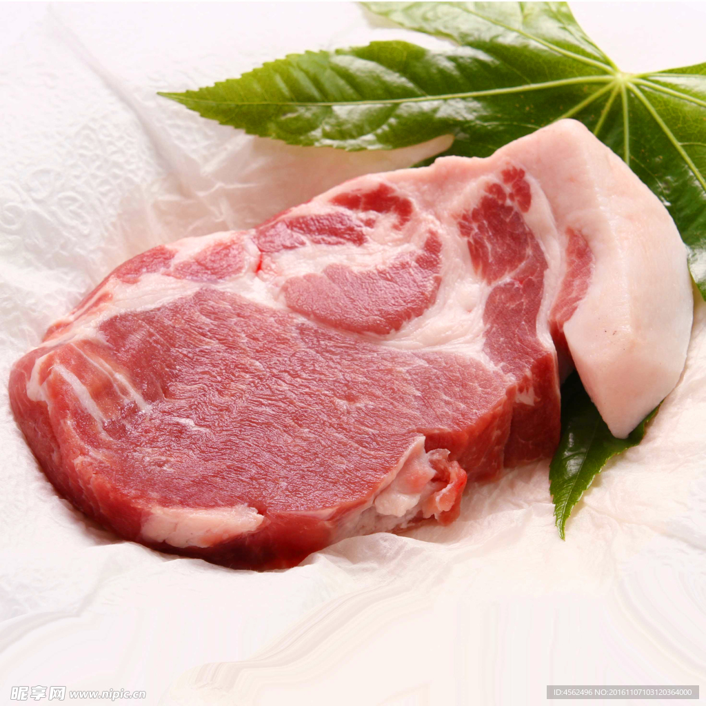 鲜猪肉