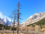 高原风光