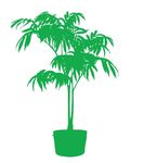 花盆剪影
