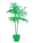 花盆剪影