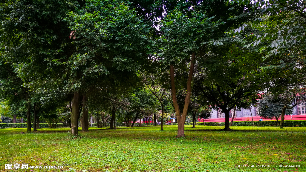 四川大学