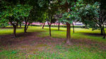 四川大学