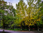四川大学
