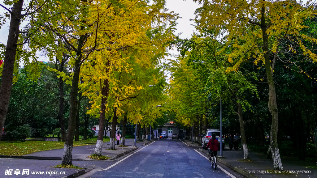 四川大学