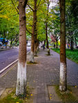 四川大学