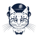 戴帽子的猫