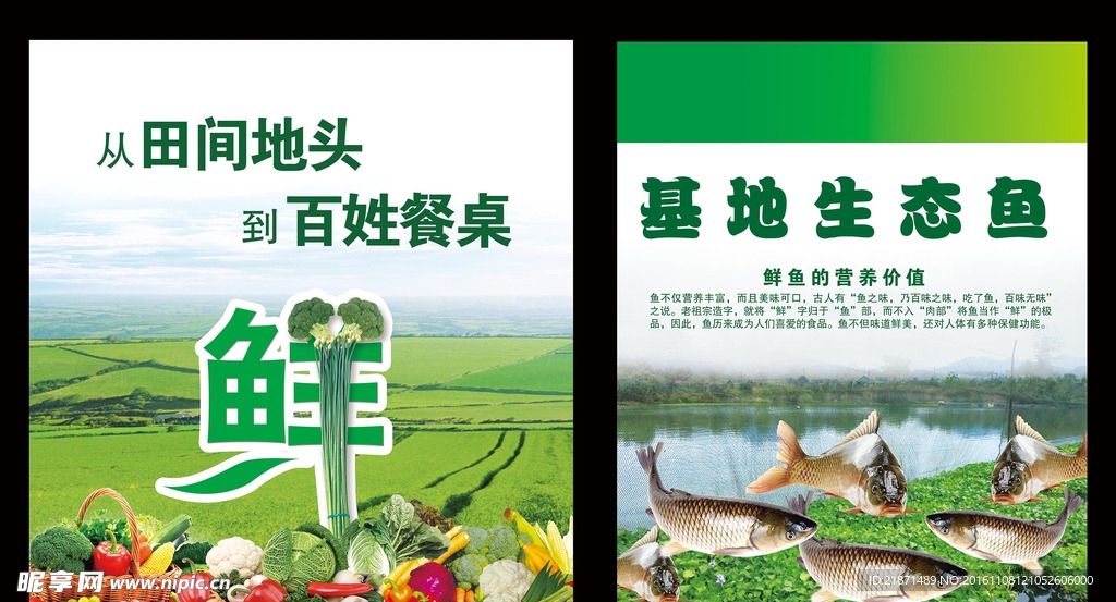 农业基地生态鱼海报