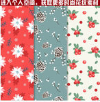 圣诞花纹