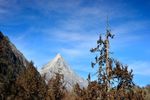 四姑娘山