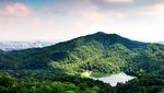 广州白云山