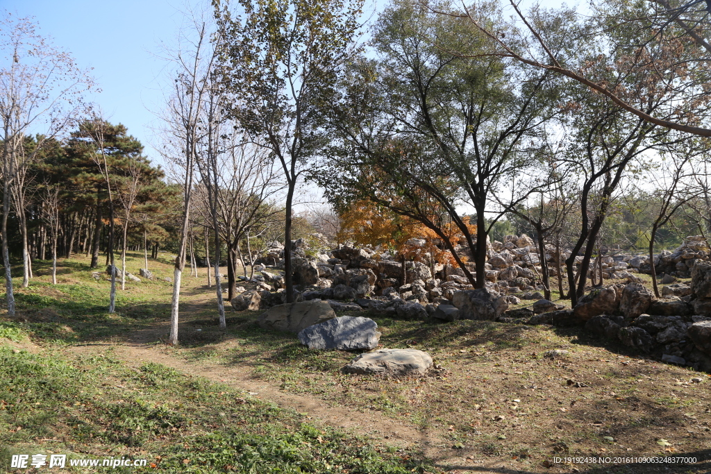 圆明园风景