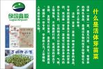 芽苗菜海报