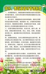 小学制度海报