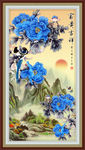 富贵花开