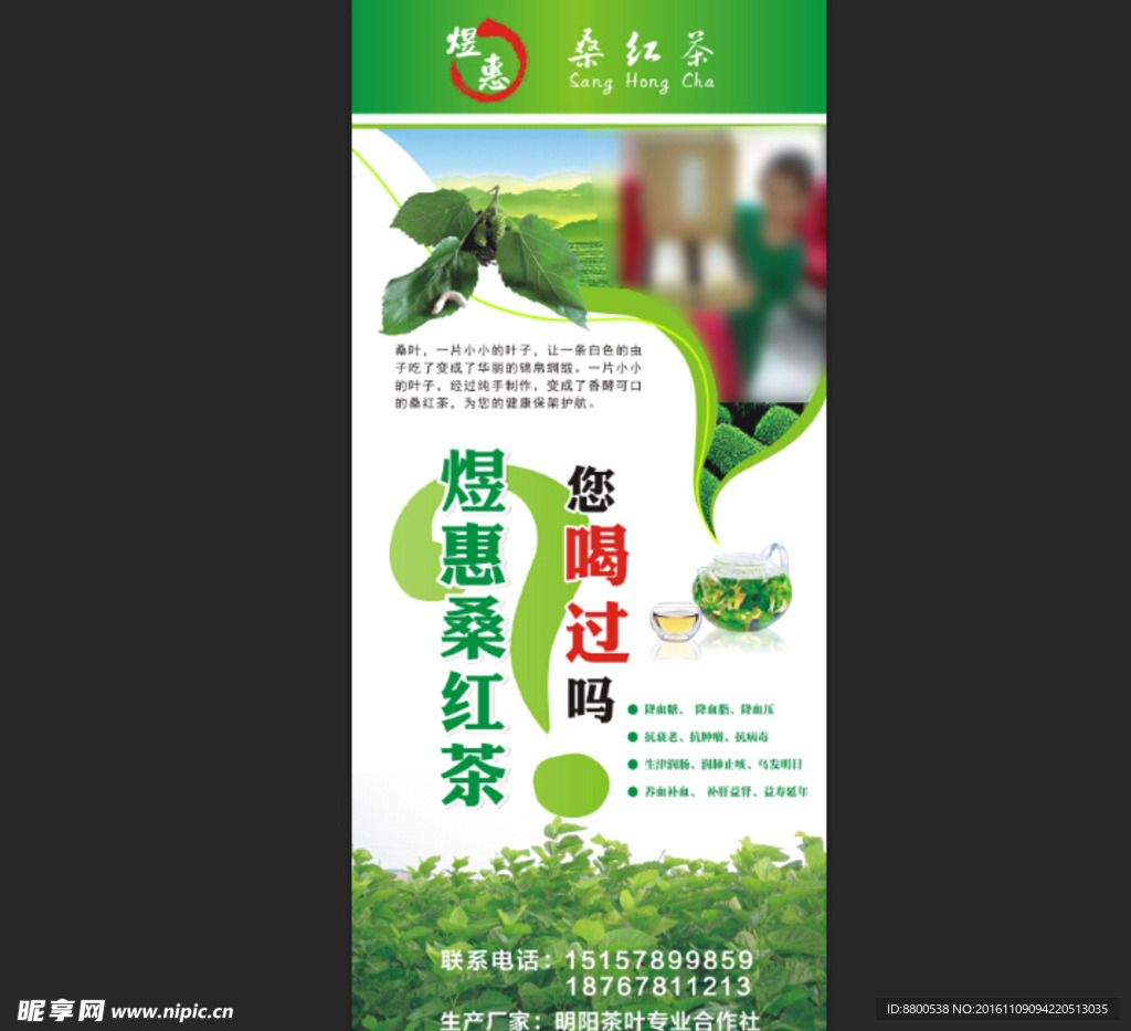 桑红茶