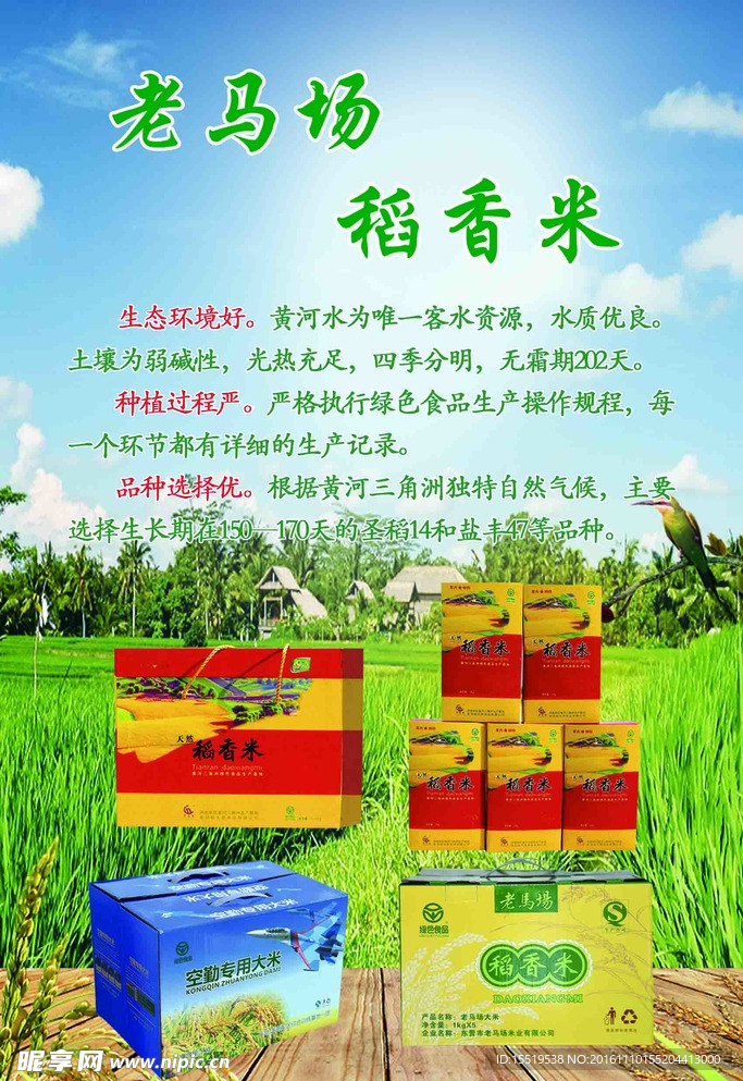 大米海报