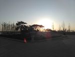 夕阳