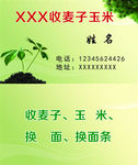 收麦子玉米名片