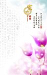 家和紫色梦幻花卉