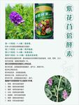紫花