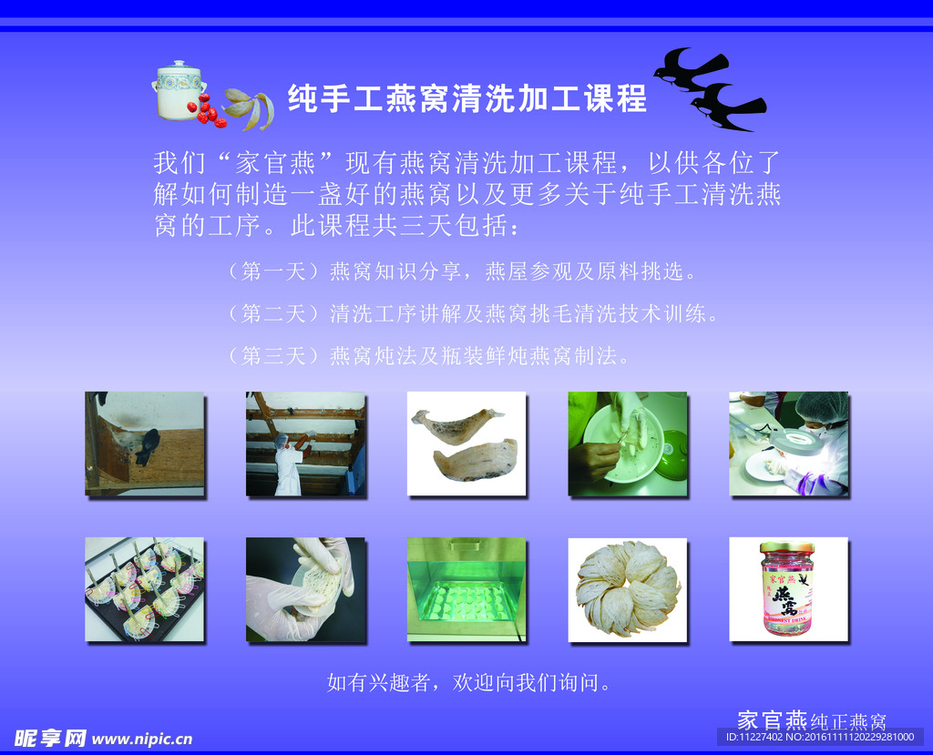 燕窝海报