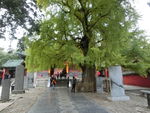 少林风光