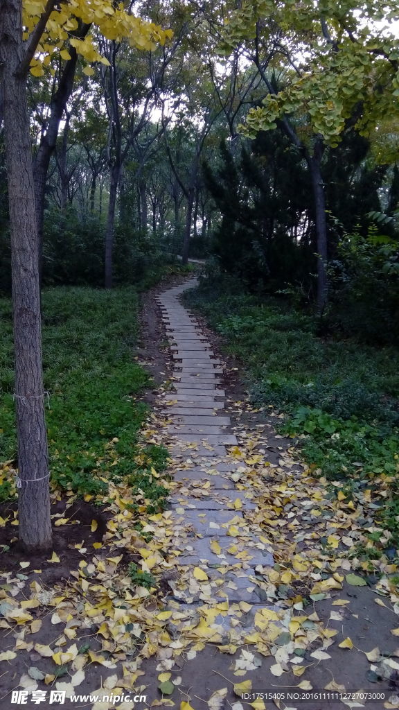 深秋
