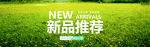 淘宝店招 网店店招banner