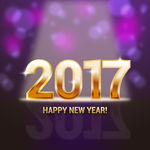 2017新年