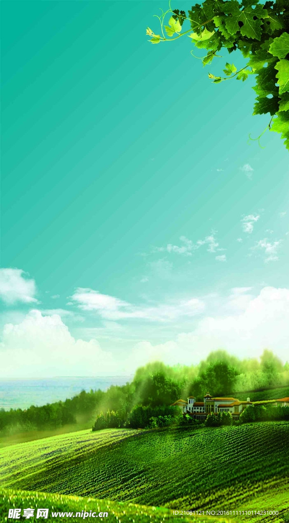 绿色背景