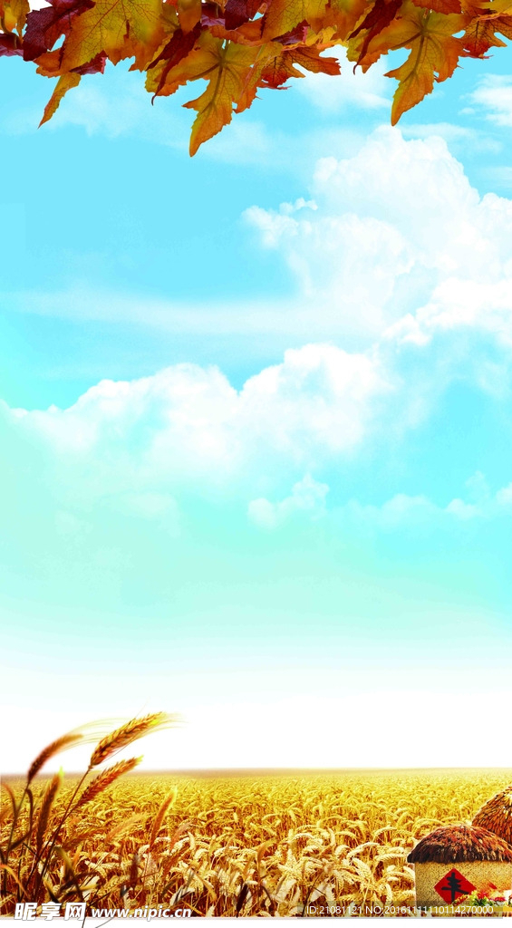 秋景