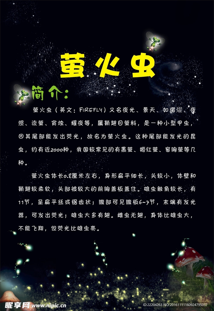 萤火虫简介