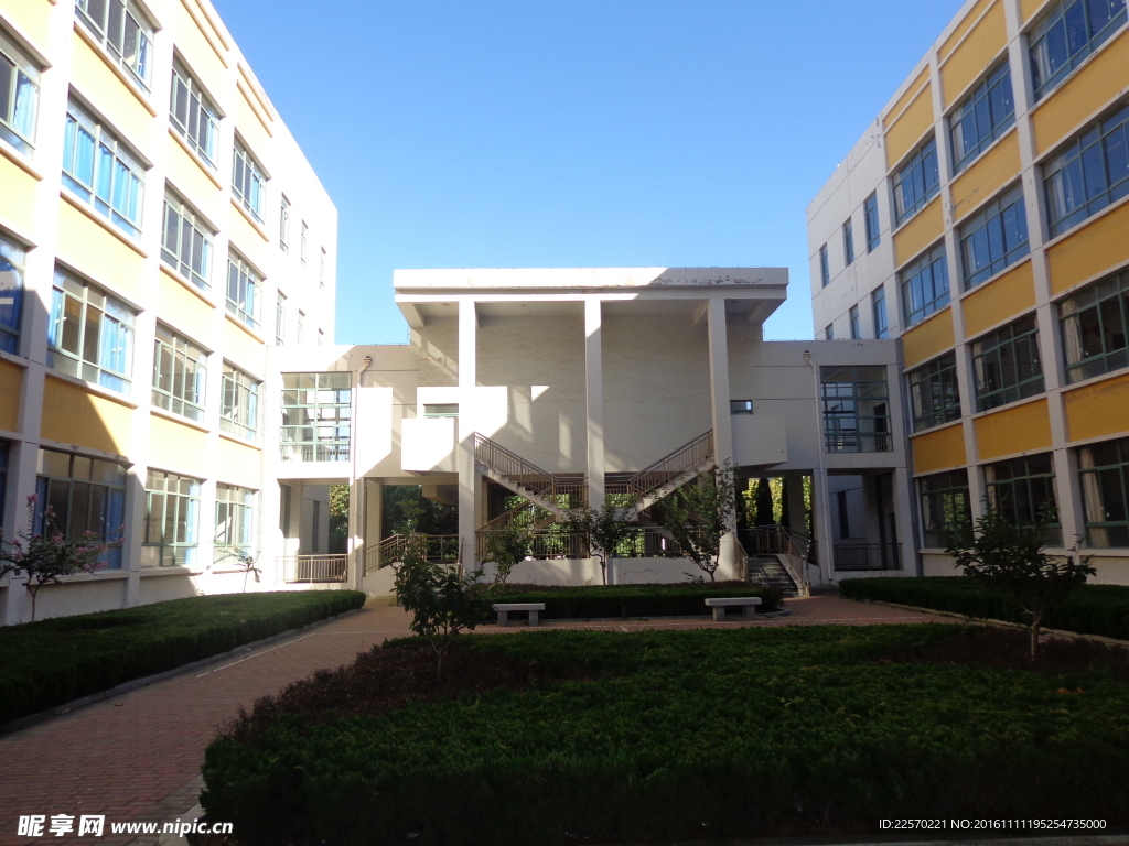 学校