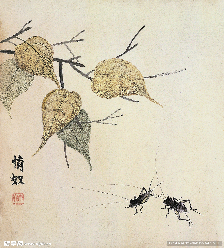 中国水墨画 齐白石国画 写意画