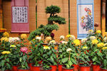 惠山金秋菊会