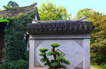 钖惠公园秋摄