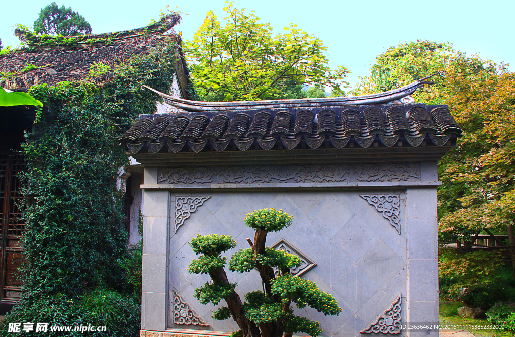 钖惠公园秋摄