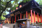 钖惠公园秋摄