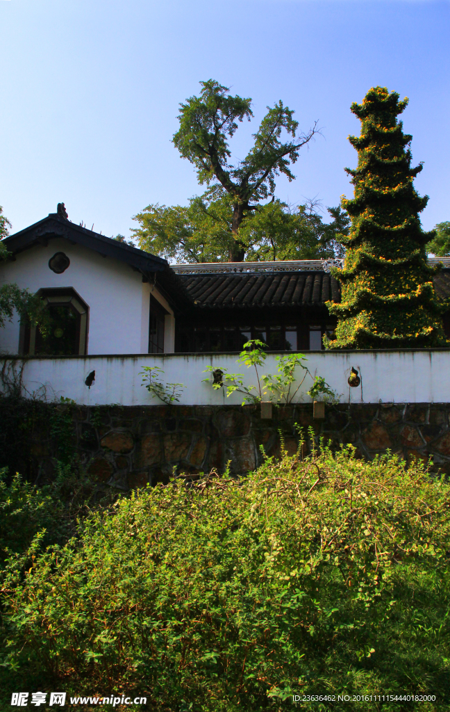 钖惠公园秋摄
