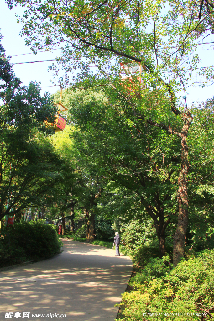 钖惠公园秋摄