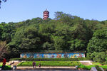钖惠公园秋摄