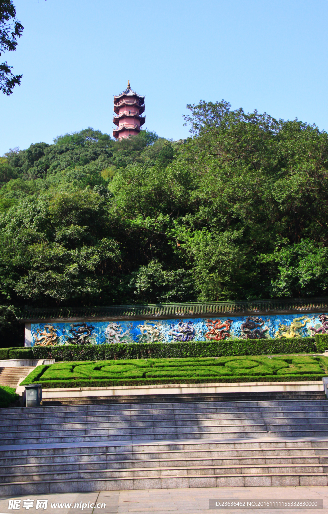 钖惠公园秋摄