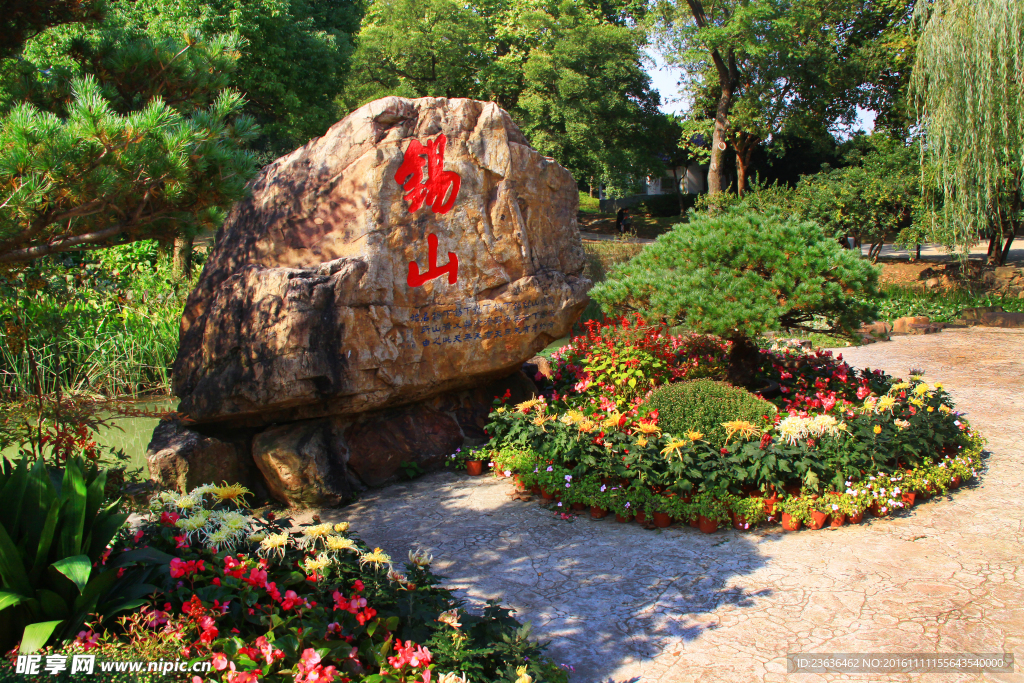 钖惠公园秋摄